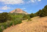 Lot 7 Tres Valles - Photo 44