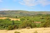 Lot 7 Tres Valles - Photo 49