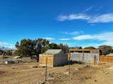TBD 328 Acres Highway 69 - Photo 23