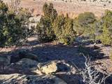 TBD 328 Acres Highway 69 - Photo 27