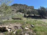 1210 Willow St - Photo 35