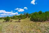 TBD Lot 119 Navajo Ranch Resorts - Photo 12