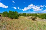 TBD Lot 119 Navajo Ranch Resorts - Photo 13