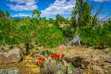 TBD Lot 119 Navajo Ranch Resorts - Photo 16