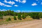 TBD Lot 119 Navajo Ranch Resorts - Photo 3