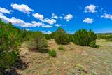 TBD Lot 119 Navajo Ranch Resorts - Photo 4
