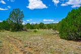 TBD Lot 119 Navajo Ranch Resorts - Photo 8