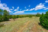 TBD Lot 119 Navajo Ranch Resorts - Photo 9