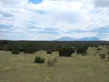  Twin Lakes Ranches - Photo 11