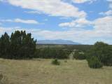  Twin Lakes Ranches - Photo 12