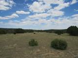  Twin Lakes Ranches - Photo 13