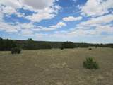  Twin Lakes Ranches - Photo 14