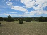  Twin Lakes Ranches - Photo 15
