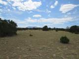  Twin Lakes Ranches - Photo 16