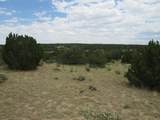  Twin Lakes Ranches - Photo 17