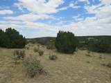  Twin Lakes Ranches - Photo 18