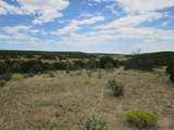  Twin Lakes Ranches - Photo 19