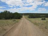  Twin Lakes Ranches - Photo 2