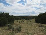 Twin Lakes Ranches - Photo 21