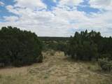  Twin Lakes Ranches - Photo 22