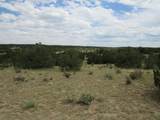 Twin Lakes Ranches - Photo 23