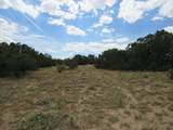  Twin Lakes Ranches - Photo 25