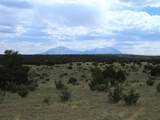  Twin Lakes Ranches - Photo 3