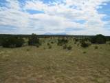  Twin Lakes Ranches - Photo 4