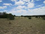  Twin Lakes Ranches - Photo 6