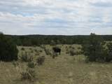  Twin Lakes Ranches - Photo 7