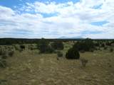  Twin Lakes Ranches - Photo 8
