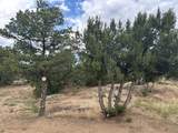 Lot 738 Rio Cucharas Phs #2 - Photo 10