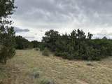Lot 738 Rio Cucharas Phs #2 - Photo 15