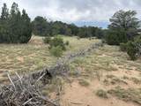Lot 738 Rio Cucharas Phs #2 - Photo 3