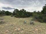 Lot 738 Rio Cucharas Phs #2 - Photo 5