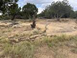 Lot 738 Rio Cucharas Phs #2 - Photo 6