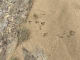 Lot 738 Rio Cucharas Phs #2 - Photo 7