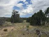 Lot 738 Rio Cucharas Phs #2 - Photo 8