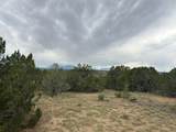 Lot 738 Rio Cucharas Phs #2 - Photo 9