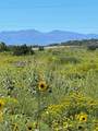 TBD Highway 160  Tract 2 - Photo 1