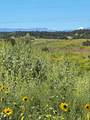 TBD Highway 160  Tract 2 - Photo 4