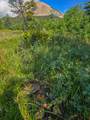 TBD Lot 8 Tres Valles - Photo 15