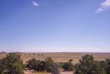 32637 County Rd 53.7 - Photo 22