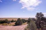 32637 County Rd 53.7 - Photo 23