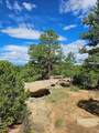 16633 Buena Vista Dr - Photo 17