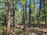 16633 Buena Vista Dr - Photo 33