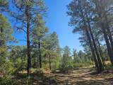 16633 Buena Vista Dr - Photo 37
