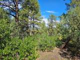 16633 Buena Vista Dr - Photo 39