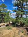 16633 Buena Vista Dr - Photo 40