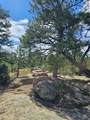 16633 Buena Vista Dr - Photo 41
